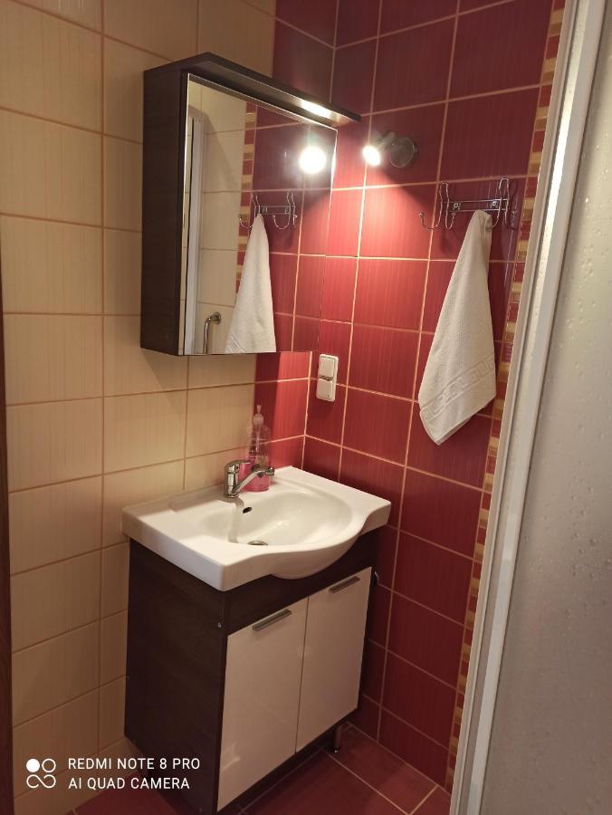 דרוסקינינקאי Nelli Apartamentai מראה חיצוני תמונה