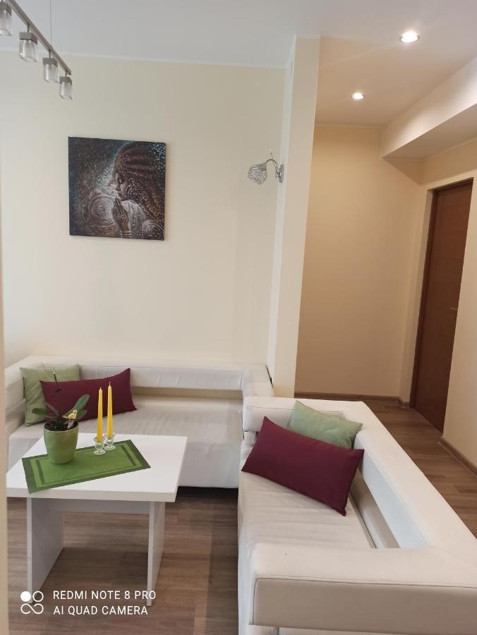 דרוסקינינקאי Nelli Apartamentai מראה חיצוני תמונה