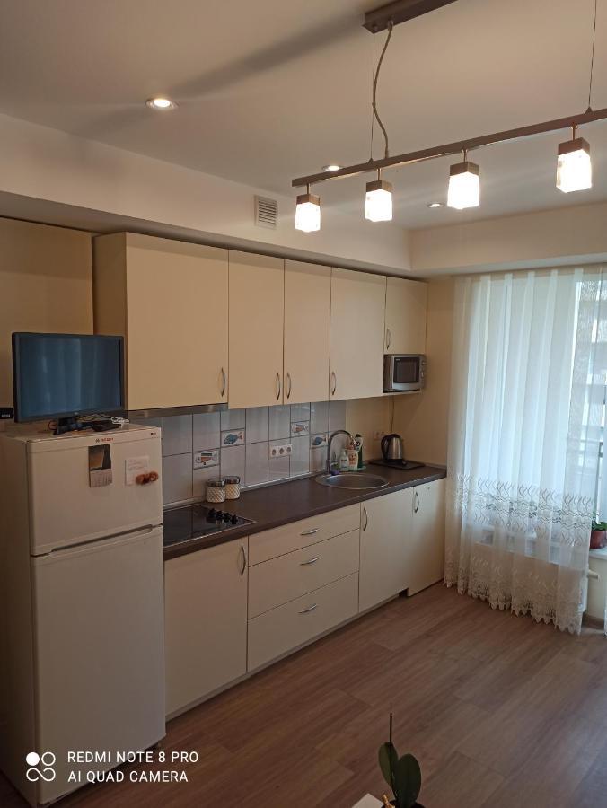 דרוסקינינקאי Nelli Apartamentai מראה חיצוני תמונה