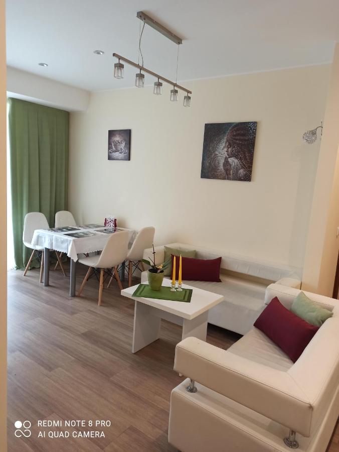 דרוסקינינקאי Nelli Apartamentai מראה חיצוני תמונה